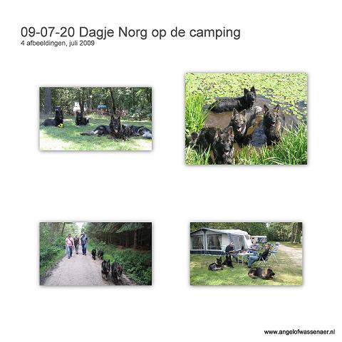 Een heerlijk dagje in Norg op de camping met Ria en Rob (en de hondjes)